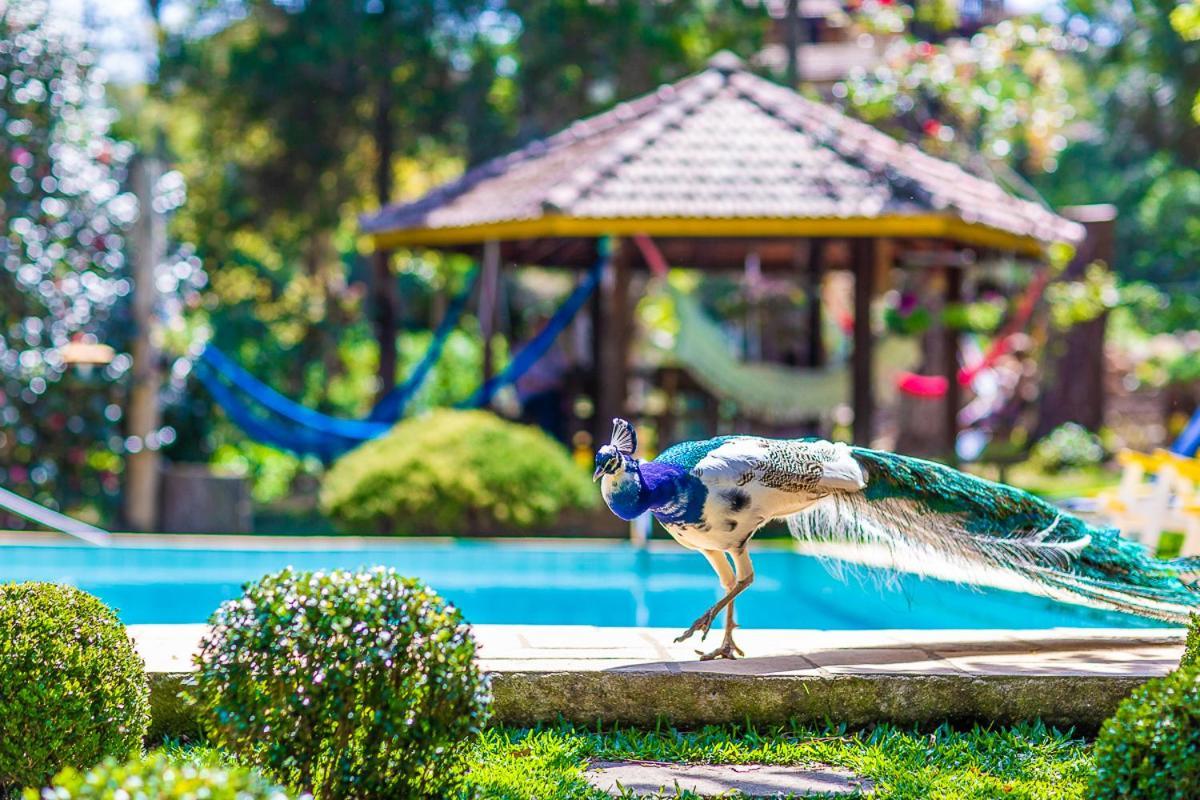 Pousada Villa D'Amore Monte Verde  Bagian luar foto