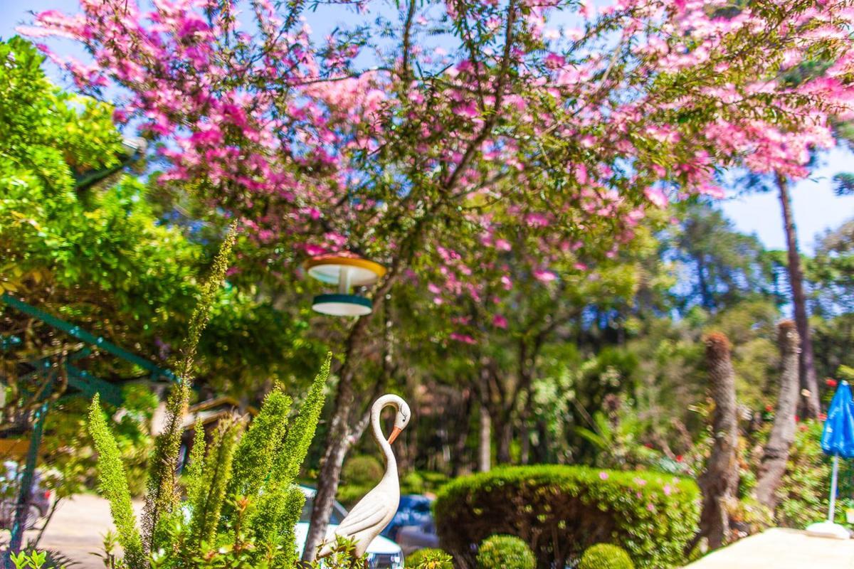 Pousada Villa D'Amore Monte Verde  Bagian luar foto